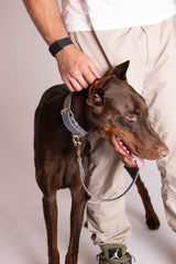 Collar Milan Grey